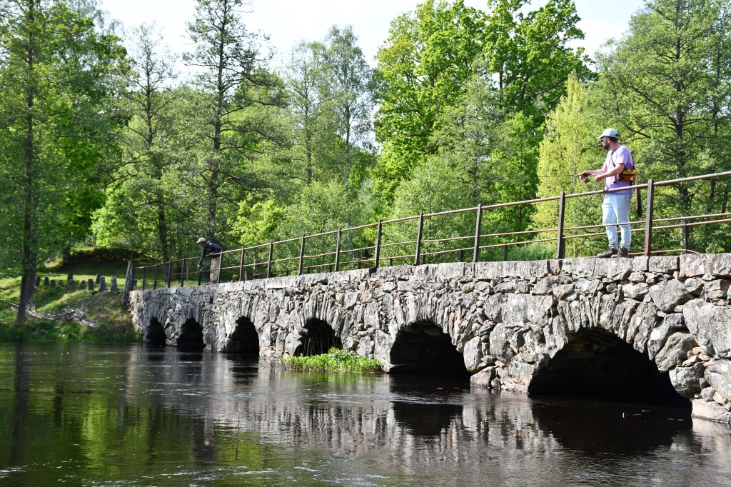 Logbucheintrag 000-019