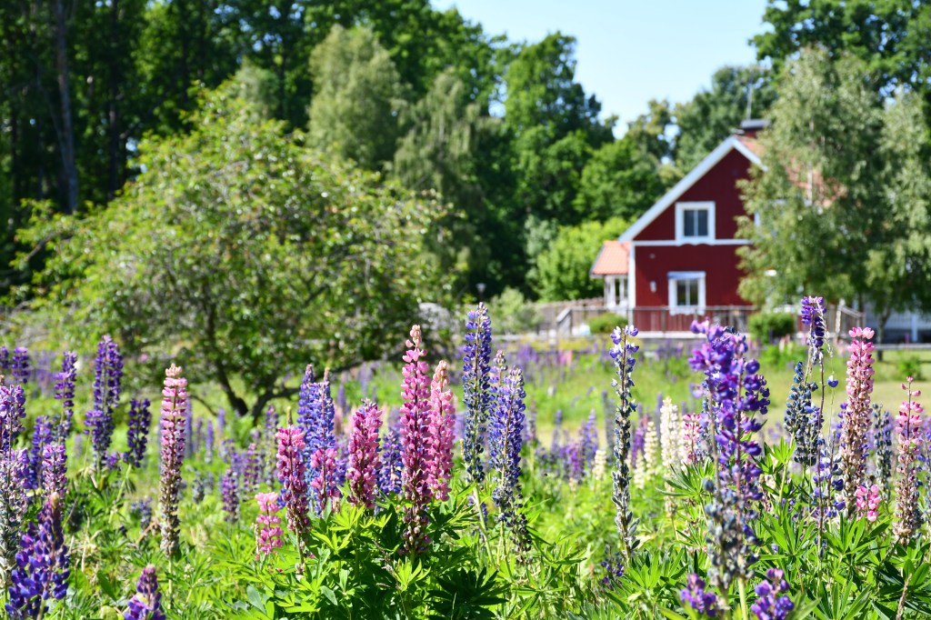 Logbucheintrag 020-021