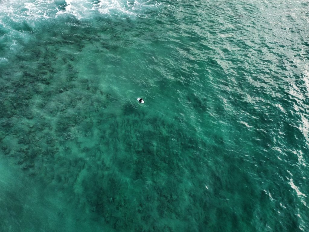 Logbucheintrag 112-119